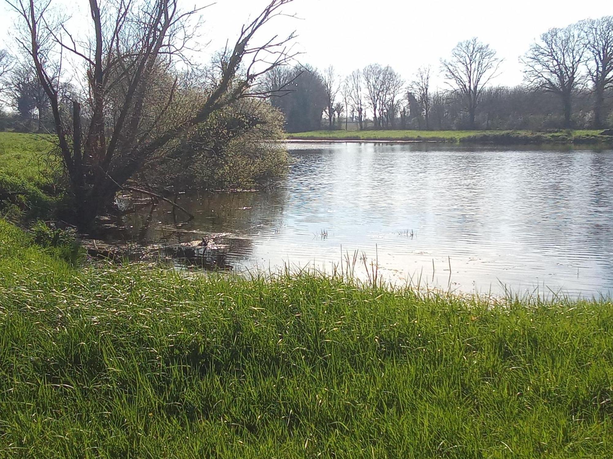 Chambre A La Campagne La Roche-sur-Yon Kültér fotó